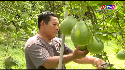 Nâng cao chất lượng nông sản để chinh phục thị trường