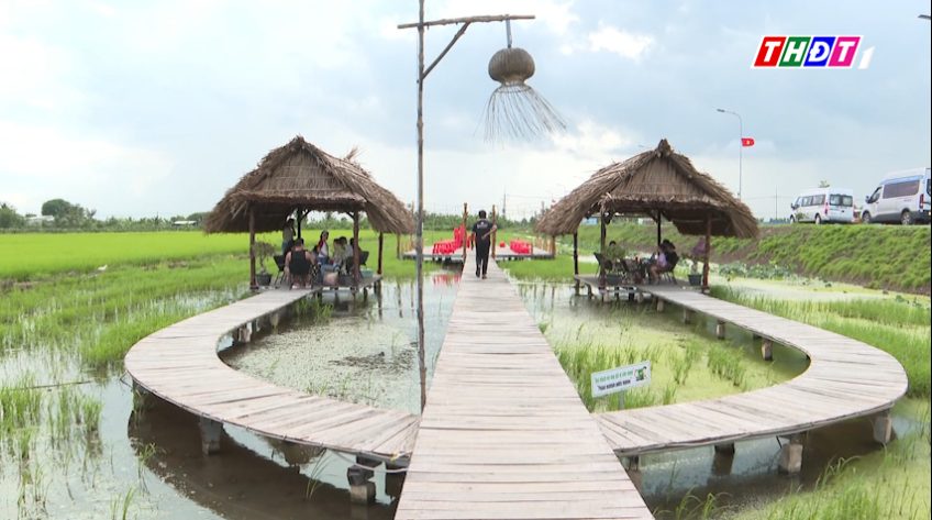 Trải nghiệm cà phê nông trại giữa đồng quê