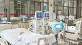 [Infographic] Nhớ ngay 4 việc cần làm khi bị chó cắn