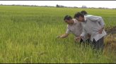 Phóng sự - VNPT từ nền tảng đến bứt phá