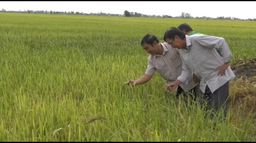 Động lực cho nông nghiệp trong kỷ nguyên vươn mình