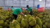 Hỗ trợ đào tạo nghề, kết nối việc làm phù hợp cho người lang thang, người xin ăn