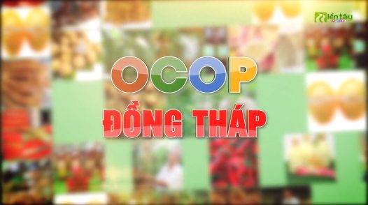 OCOP Đồng Tháp - 30/8/2025: Chương trình OCOP góp phần tạo thu nhập cho lao dộng nông thôn
