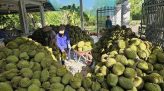 Hàn Quốc đề cử nữ Thủ tướng đầu tiên sau 20 năm
