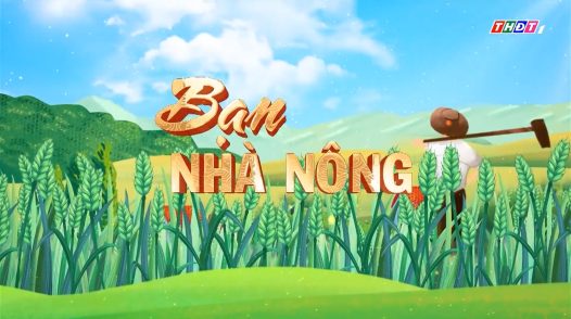 Bạn nhà nông - 24/8/2025: Chuẩn bị cho vụ rau màu mùa Tết