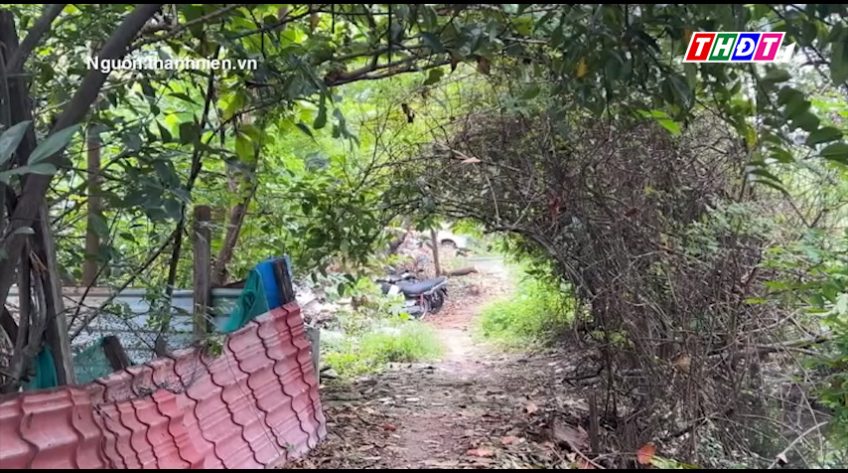 TP. HCM: đi xuyệt cá, 2 anh em bị điện giật tử vong