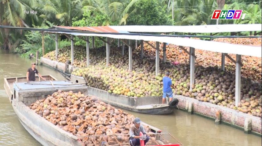 Giá dừa khô giảm sâu