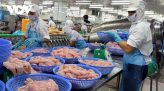 Giá gạo xuất khẩu tăng sau thời gian dài lao dốc
