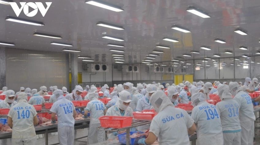Chuyển đổi số giúp nâng cao sức cạnh tranh cho ngành hàng cá tra Việt Nam