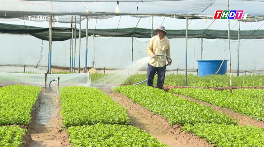 Nông dân làng hoa Mỹ Phong đăng ký sớm chợ hoa xuân Bính Ngọ