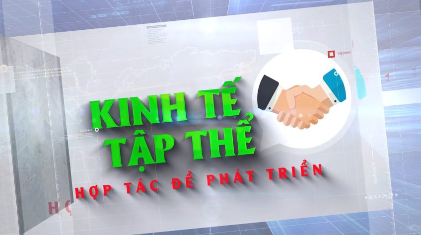 Kinh tế tập thể - 25/8/2025: Liên kết bức phá tổ hợp tác hoa vào mùa Festival