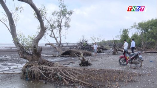 Đầu tư hơn 330 tỷ đồng chống xói lở bờ biển Gò Công