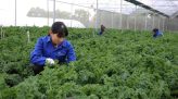 Đẩy nhanh tiến độ xử lý, khai thác nhà, đất dôi dư sau sắp xếp