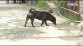 Biên phòng Đồng Tháp chủ động phòng chống khắc phục thiên tai