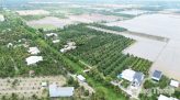 Hôm nay (10-8), Quốc hội thảo luận việc sửa đổi Luật Trách nhiệm bồi thường của Nhà nước