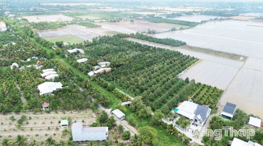 Nông nghiệp Đồng Tháp nỗ lực bứt tốc về đích