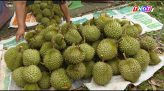 Đồng Tháp: Khởi công nhà ở xã hội đường Nguyễn Trọng Dân nối dài