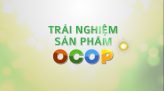 Trải nghiệm sản phẩm OCOP - Nem chua Huỳnh Hậu mang đậm hương vị miền quê