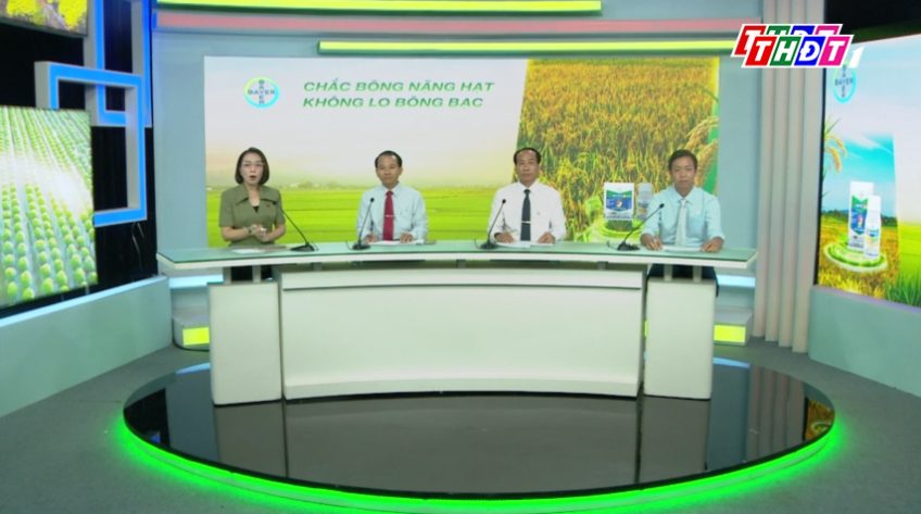 Tư vấn khuyến nông - 16/03/2026: Chắc bông nặng hạt không lo bông bạc