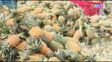 Đồng Tháp: Khởi công nhà ở xã hội đường Nguyễn Trọng Dân nối dài