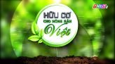 Hữu cơ cho nông sản Việt - 25/11/2025: Cây dừa phát triển bền vững nhờ phân bón hữu cơ