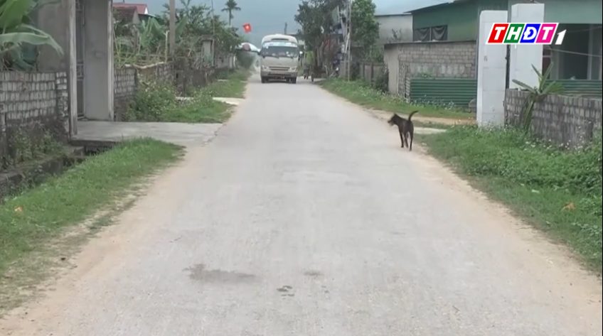 Người dân đánh chết con chó nghi dại cắn 6 người