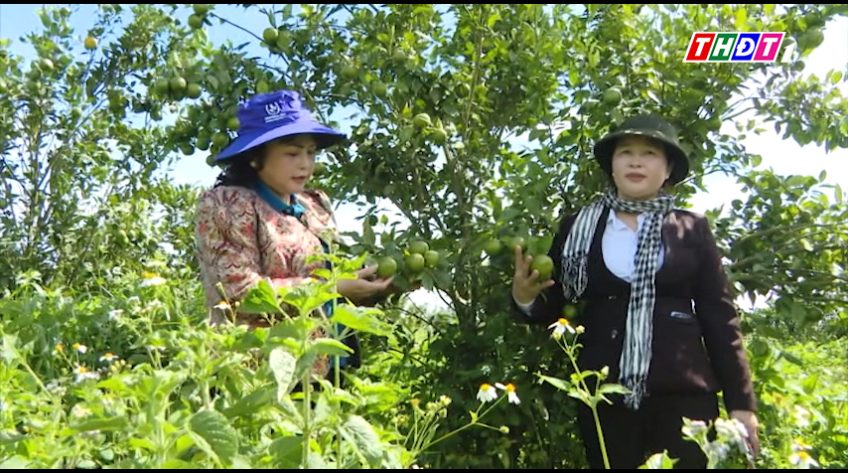 Hữu cơ trên vùng đất Tây Nguyên