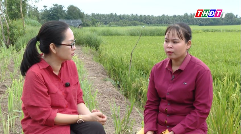 Địa chỉ nhân đạo - 23/11/2025: Hoàn cảnh chị Nguyễn Thị Thúy Hằng - Ấp Long Hải - Xã Long Bình -  tỉnh Đồng Tháp