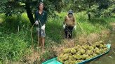Đề xuất doanh nghiệp nộp thuế thay người gom ve chai, phế liệu