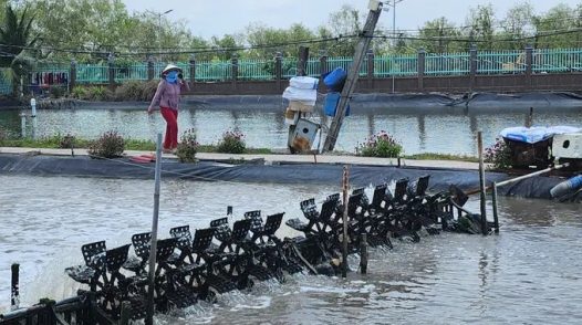 Một số ngành hàng, sản phẩm được ưu tiên hỗ trợ