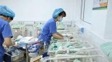 Phát động Cuộc thi sáng tác bài hát về Làng cổ Đông Hòa Hiệp