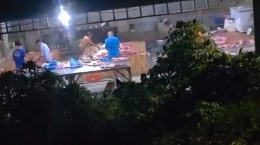 Xử lý 4 cơ sở giết mổ động vật trái phép tại Đồng Tháp