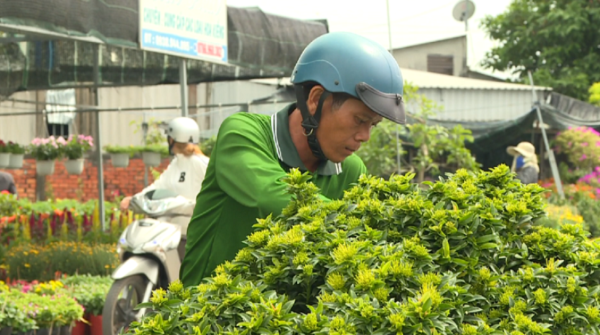 Nông dân làng hoa năng động cùng nhịp phát triển của TP.Sa Đéc