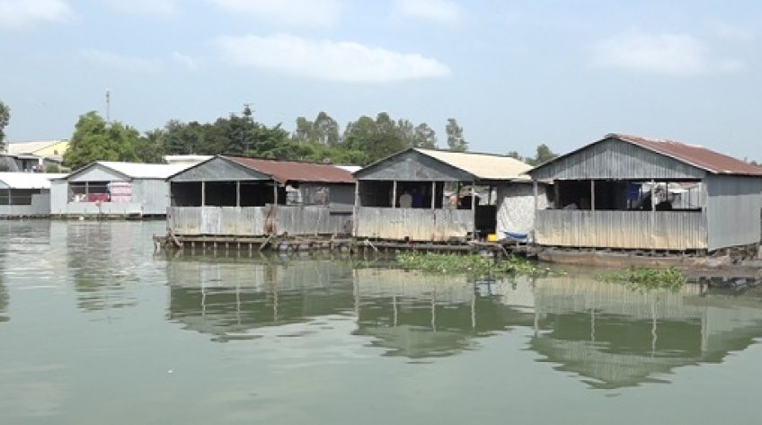 Không còn tình trạng cá chết hàng loạt trên sông Cái Vừng