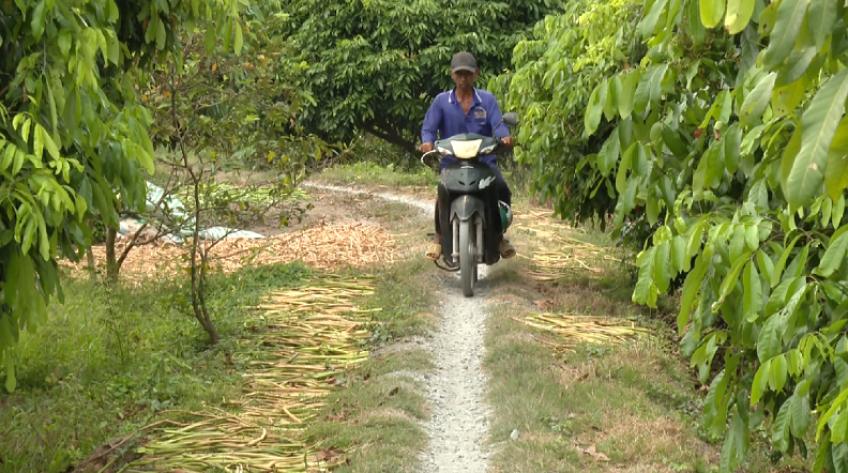 Con đường chờ ngày khởi công