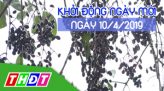 Nhịp sống thể thao - 11/04/2019