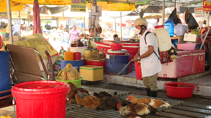 Phòng cúm gia cầm tại chợ và hộ kinh doanh trứng