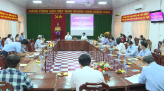 Rau sam mọc dại thành 