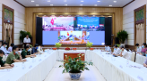 Rau sam mọc dại thành 