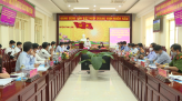 Rau sam mọc dại thành 