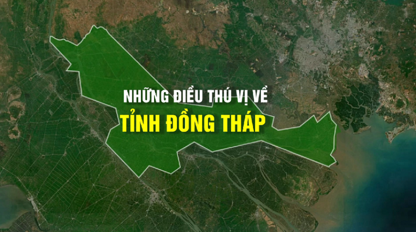 Những điều thú vị về tỉnh Đồng Tháp
