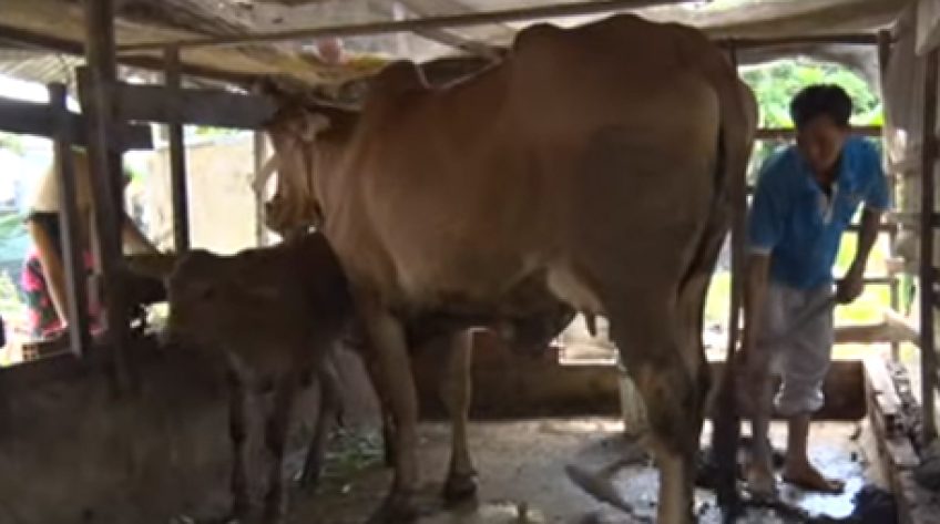 Vươn lên từ Dự án giảm nghèo bền vững