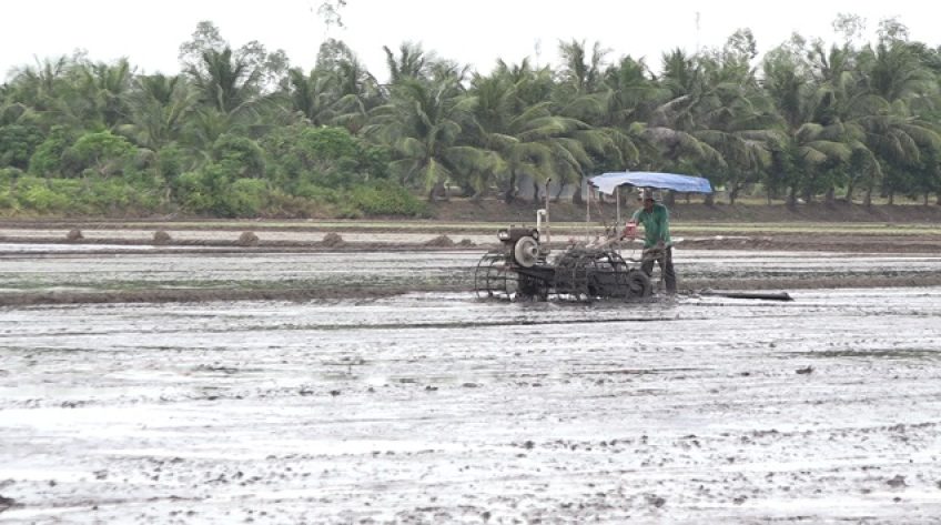 H.Hồng Ngự: Xuống giống vùng gò cao, đóng cống giữ nước lũ những nơi chưa xuống giống