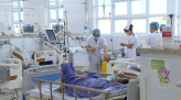 Đồng Tháp: Vào mùa đánh bắt cá ra sông