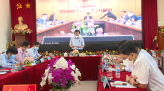 Làng hoa Sa Đéc giảm diện tích Tết, chú trọng sản phẩm mới