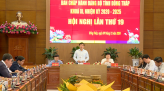 Để sếu đầu đỏ về sống quanh năm ở Vườn quốc gia Tràm Chim