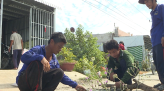 Để sếu đầu đỏ về sống quanh năm ở Vườn quốc gia Tràm Chim