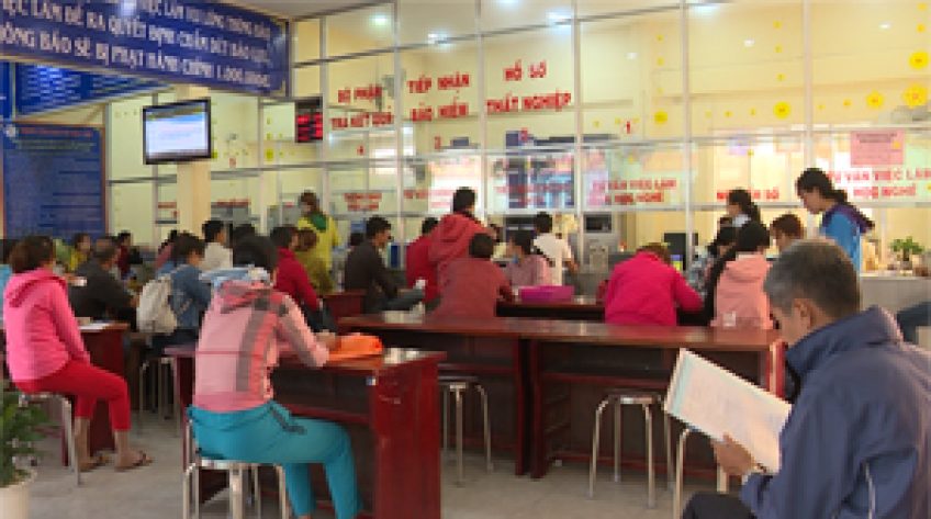 Không khí ngày làm việc đầu năm Kỷ Hợi