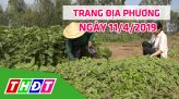 Trang địa phương - Thứ Sáu, 12/4/2019 - H.Lấp Vò