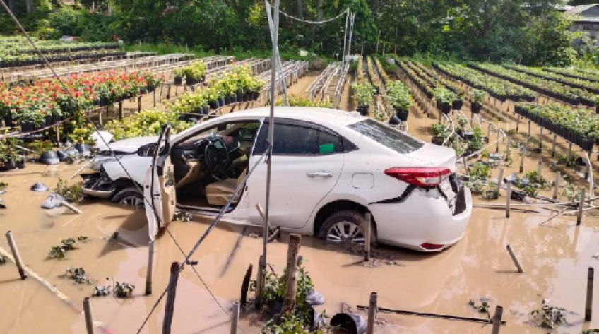 Xe ô tô phóng nhanh, đến vòng xoay lao thẳng xuống ruộng hoa